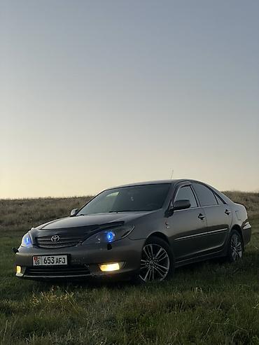 levin corolla: Toyota Camry: 2002 г., 2.4 л, Механика, Бензин, Седан — 7
