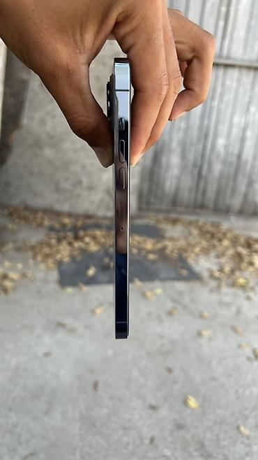 iphone 8x: IPhone 13 Pro Max, Б/у, 256 ГБ, Sierra Blue, Защитное стекло, 74 % — 9