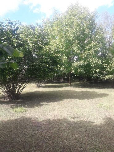 Torpaq sahələrinin satışı: 20 sot, Tikinti, Mülkiyyətçi, Kupça (Çıxarış), Müqavilə — 10