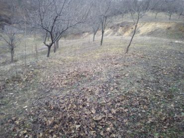 Prodaja zemljišta: Prodajem ili bih menjao tri vezana placa u Loznici od 30 ari sa — 8
