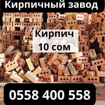 продаю петух: Жженный, M100, 250 x 90 x 120, С дырками, Самовывоз, Бесплатная доставка, Платная доставка