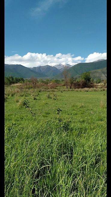 Torpaq sahələrinin satışı: Kənd təsərrüfatı — 10