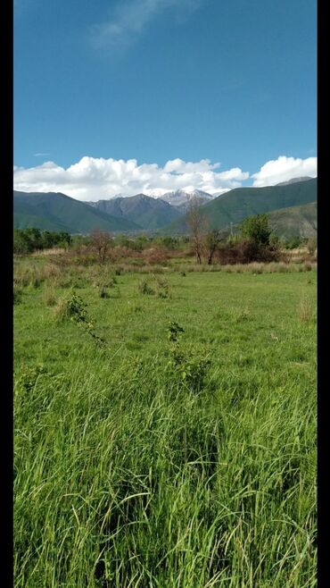 Torpaq sahələrinin satışı: 82 sot, Kənd təsərrüfatı, Mülkiyyətçi, Kupça (Çıxarış) — 10