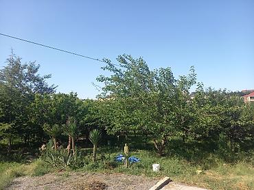 şamaxı ev satışı: Novxanı, 440 kv. m, 6 otaqlı, Hovuzsuz, İnternet, Telefon, Qaz — 2