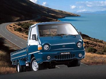 Услуги портера: Заказать Хендай портер, Вывоз бытового мусора, С откидным кузовом (самосвал) — 4