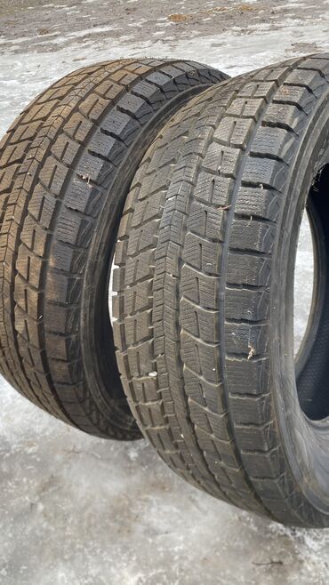 Шины: Шины 285 / 60 / R 18, Зима, Комплект, Япония, Dunlop