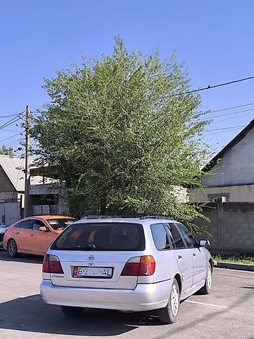 rolls royce silver ghost: Nissan Primera: 2001 г., 1.8 л, Механика, Бензин, Универсал — 6
