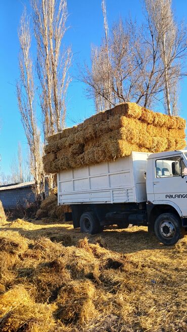 Грузовики: Грузовик, MAN, Дубль, 7 т — 7