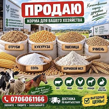 Корма для вашего хозяйства Ассортимент: - Отруби - Кукуруза - Пшеница