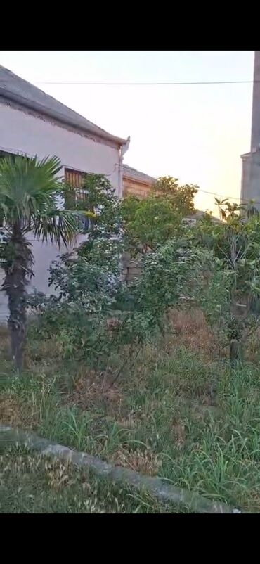Bağ evlərinin kirayəsi: 1111 kv. m, 2 otaqlı — 11