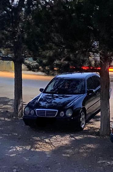 bud e9: Mercedes-Benz E-Class: 2002 г., 3.2 л, Автомат, Бензин, Седан — 8