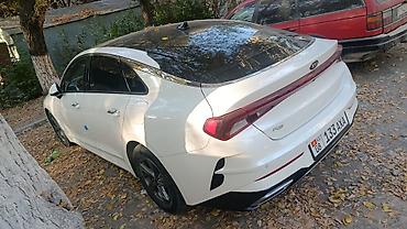 акула морда киа к5: Kia K5: 2020 г., 2 л, Автомат, Газ, Седан — 3
