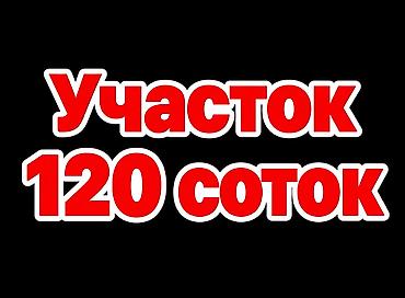 120 соток, Для сельского хозяйства, Договор купли-продажи