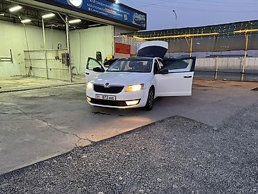 сапок бус бортовой: Skoda Octavia: 2016 г., 1.6 л, Робот, Бензин, Седан — 8
