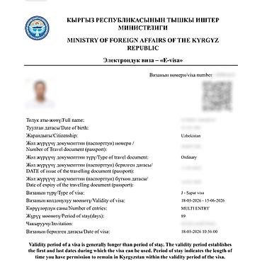visa: Визы в Кыргызстан, США, Японию и Шенген. Помогаю с оформлением виз в — 7