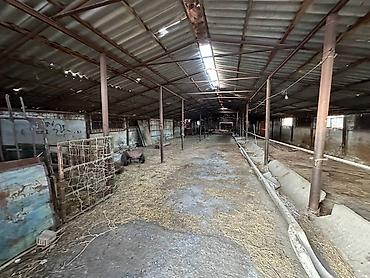 ферма скотник: Farm КРС, 88 соток, Электричество, Холодная вода — 7