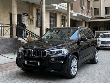 BMW: BMW X5: 2014 г., 3 л, Автомат, Бензин, Внедорожник