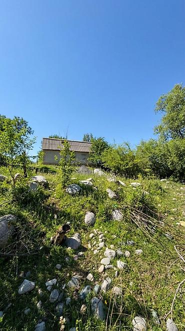 заречной: 9 соток, Для строительства, Красная книга — 8