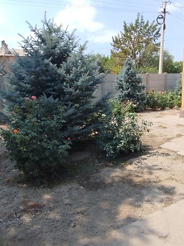 7 1: КАНТ. МИС. Продается 3х.комнатная квартира Квартира в два уровня : на — 6