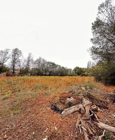 Продажа участков: 22 соток, Красная книга — 1