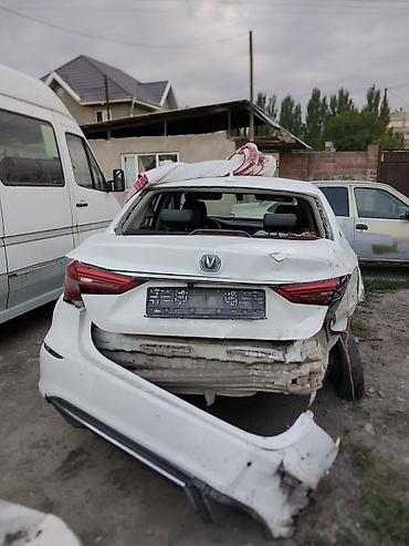 докатки: Changan Eado Ev, 2020 — 3