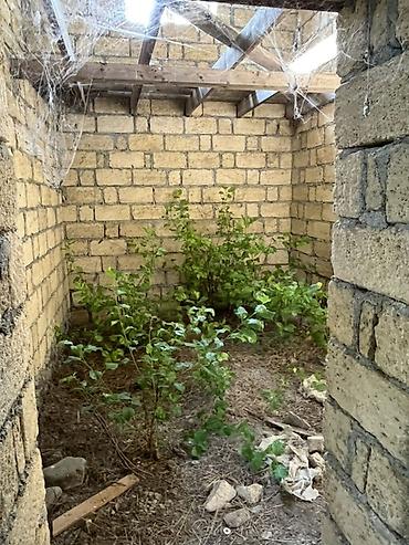 boş torpaq: 6 sot, Tikinti, Kupça (Çıxarış) — 7