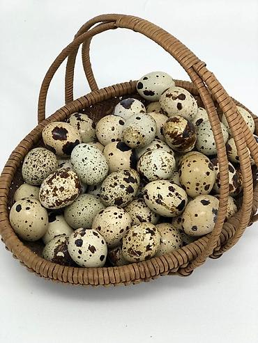 hundusqa yumurtasi: BILDIRCIN SATILIR YUMURTAQ 3 M 13 EDEDDI 5 I AG 8 I CILCIL CUNBO UNVAN — 7