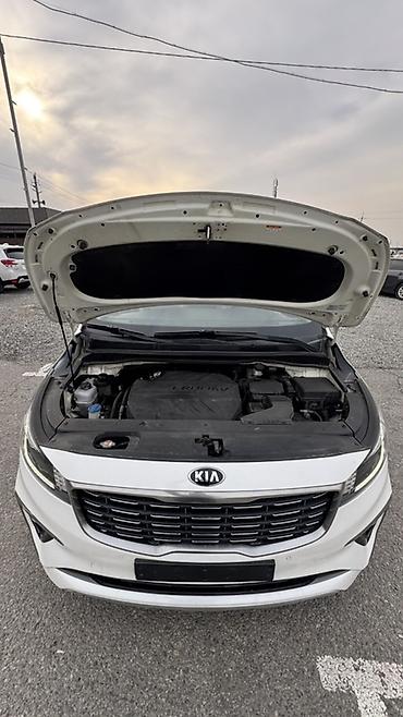 Kia: Kia Carnival: 2019 г., 2.2 л, Автомат, Дизель, Минивэн — 19