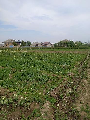Həyət evləri və villaların satışı: 3 otaqlı, 250 kv. m, Orta təmir — 8