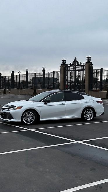 продам мот: Toyota Camry: 2020 г., 2.5 л, Автомат, Гибрид, Седан — 2