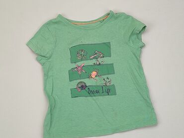 zielona koszulka: T-shirt, Lupilu, 1.5-2 years, 86-92 cm, condition - Good