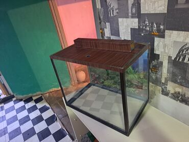 Akvariumlar: Dördbucaq akvarium, Boş, 60 l, Ünvandan götürmə