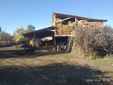 Сельхоз предприятия: Продаю Кошара, 50 соток, Действующий, Частично с оборудованием — 4