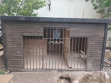 itler satisi: Salam it damıdı satılır3 metr uzunu 2 metr eni, 1.50 sm uzunluğudu — 1