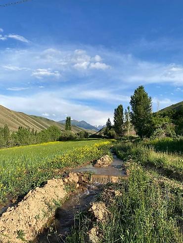 Продажа коттеджей и домов: 🔷 Продается дом с большим земельным участком на Иссык-Куле 🔷 Локация — 6