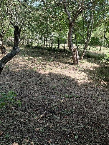 bakıxanov qesebesi: 4 otaqlı, 122 kv. m, Kredit yoxdur, Orta təmir — 8
