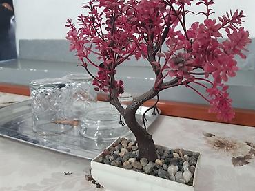 Посуточная аренда квартир: 1 комната, Постельное белье, Парковка, Бронь — 9