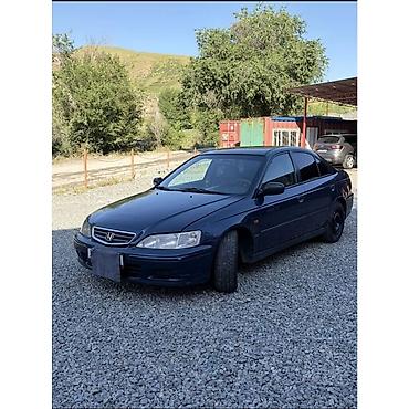 рекс стекло: Honda Accord: 1998 г., 2 л, Механика, Бензин, Седан — 9