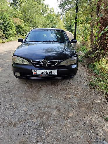 киа морнинг сатып алуу: Nissan Primera: 2002 г., Кол менен иштөөчү, Седан — 3