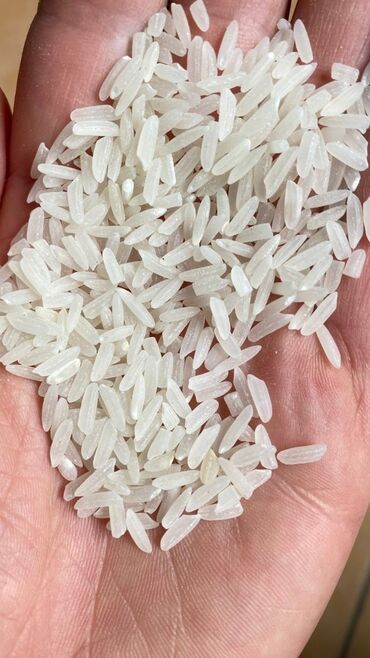 Другие продукты питания: Продаю рис Ташкент Лазер. Цена за кг 160 сом Бишкек доставка через