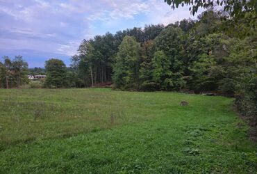 Kuće na prodaju: Seosko domacinstvo Opis oglasa Na prodaju seosko domacinstvo u selu — 8