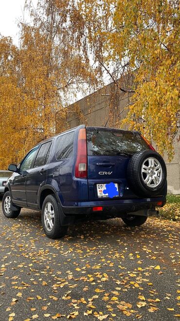 купить хонда срв 4 поколения: Honda CR-V: 2003 г., 2.4 л, Автомат, Газ, Жол тандабас