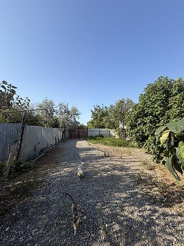 Torpaq sahələrinin satışı: 25 sot, Tikinti, Mülkiyyətçi, Kupça (Çıxarış) — 6