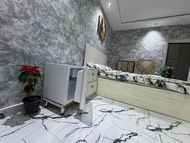 Günlük kirayə evlər: 40 kv. m, 1 otaqlı, Kombi, İşıq, Kanalizasiya — 3