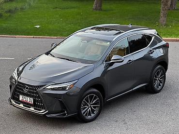 lexus 360: Lexus NX: 2023 г., 2.4 л, Автомат, Бензин, Кроссовер — 8