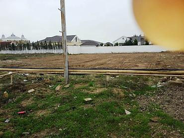 8 mk: 8 sot, Tikinti, Kupça (Çıxarış) — 4