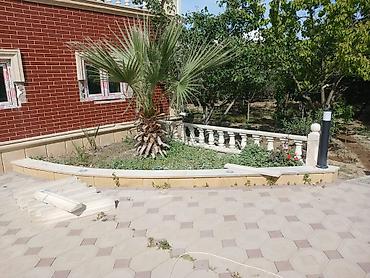 yuk dasıma: Müxtəlif formalarda tamet daslarin satış yer və divar ücün aglaya — 9