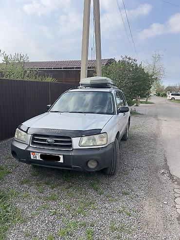 Транспорт: Subaru Forester: 2004 г., 2.5 л, Автомат, Бензин, Универсал — 3