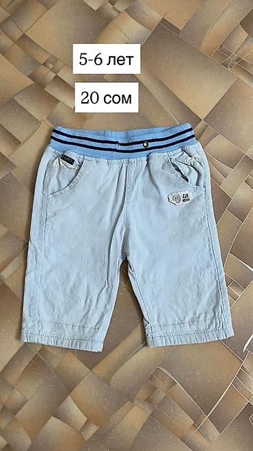 Топы и рубашки: Рубашка — 20