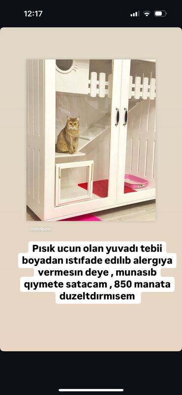 Yuvalar: Pisik ucun yuva